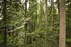 Capilano Suspension Bridge Park, Vancouver BC