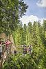 Capilano Suspension Bridge Park, Vancouver BC