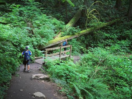 Hiking Twin Falls outside of North Bend, WA