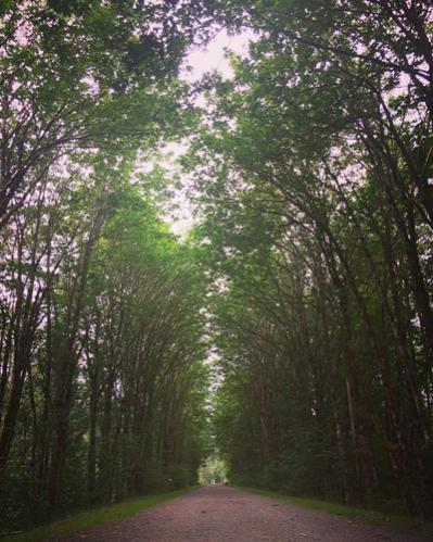 Geocaching in Carnation, WA