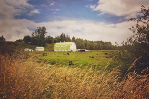 Oregon along Highway 101