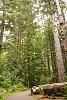 Fort Clatsop NHP, Oregon