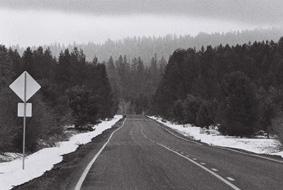 Towards Mount Hood
