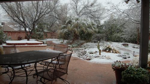 Snow in Backyard