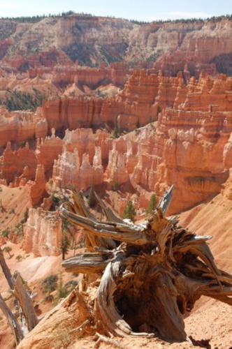 BryceCanyon