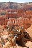 BryceCanyon