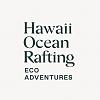 At Hawaii Ocean Rafting, we specialize in whale watching tours in Maui.