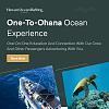 dolphin watching and snorkeling tours in Lanai