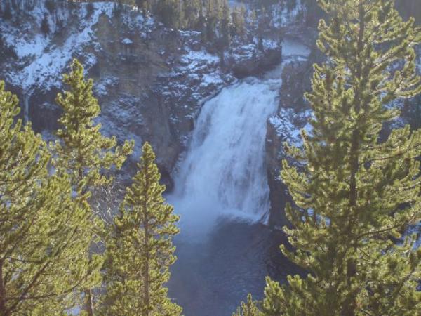 The Lower Falls of Yellowstone