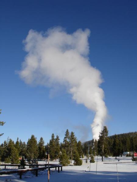 A distant shot of Old Faithful geyser doing its thing