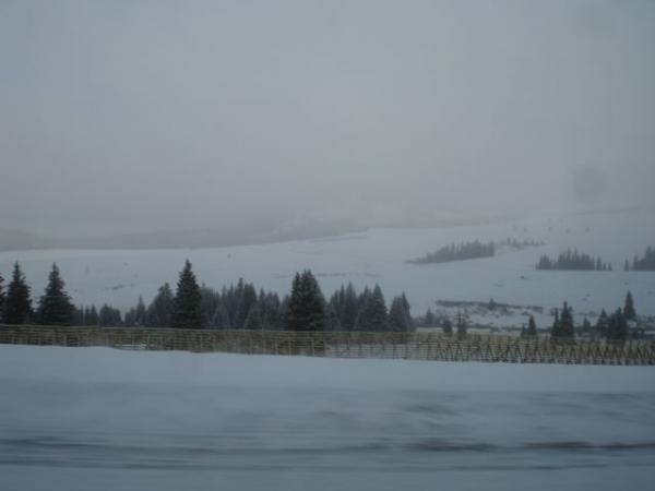 More snow scenery on Hwy 14 through the Big Horn mountains