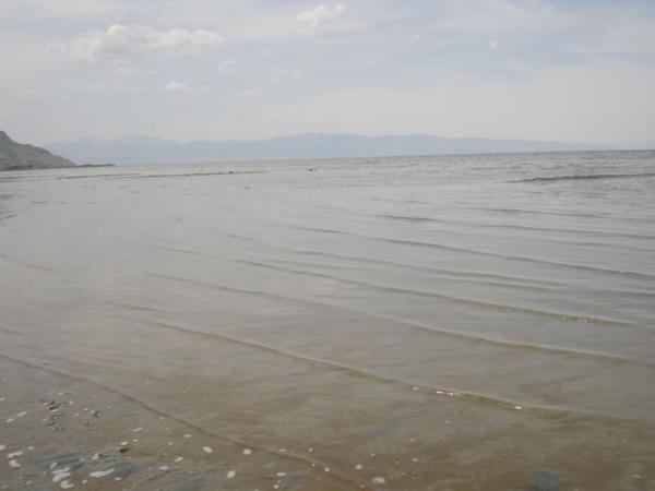 A view of the drought-stricken Salt Lake in Utah. I had to walk several hundred feet out on the shore before I reached the brine shrimp-laden waters.