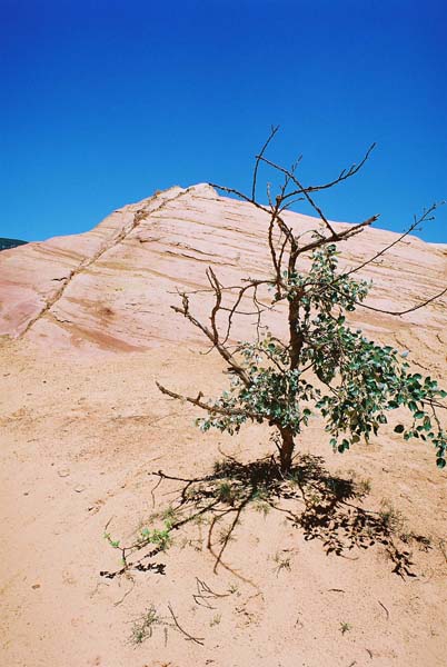 Colorado Provencal de Rustrel 1