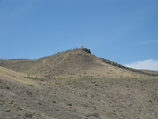 And here's the Wild Horses.  A very cool statue overlooking that majestic Columbia River landscape!