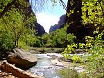 DSCF0539