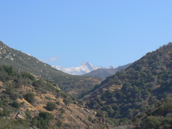 P1010938