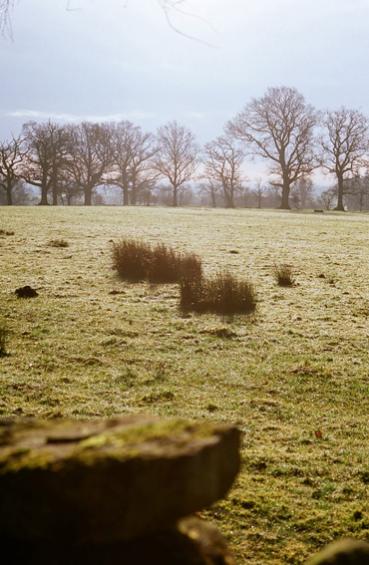 Field
