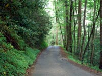 Roaring Fork Motor Nature Trail