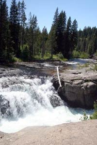 Falls River cascades