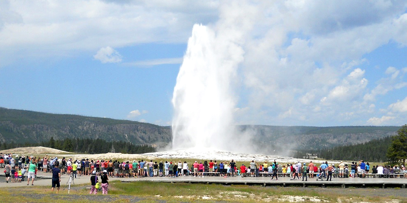 Summer at Old Faithful in Yellowstone NP - Photo by Harry Kline