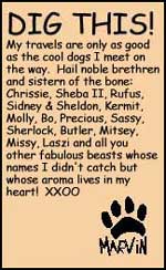 Dig This!