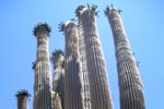 Saguaro