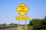 Watch for Animals