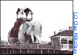 Lucy the Elephant