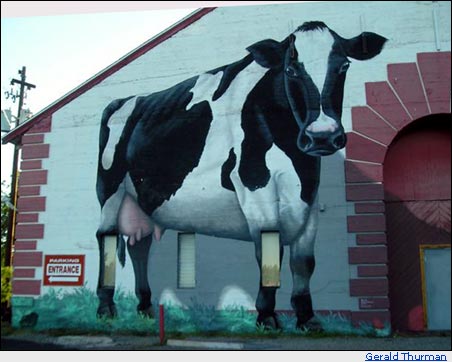 Cow Mural
