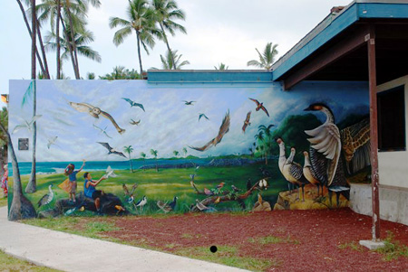 Birds of Paradise