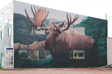 Bull Moose mural