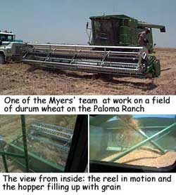 Harvesters at work