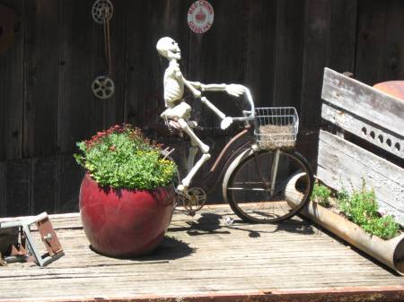 Bone-tired bike rider