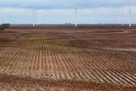 15_Cotton_and_Turbines