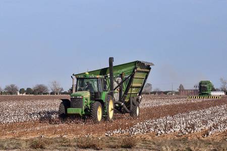 16_Harvesting