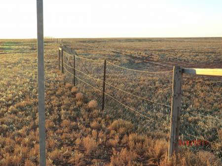 Dog Fence