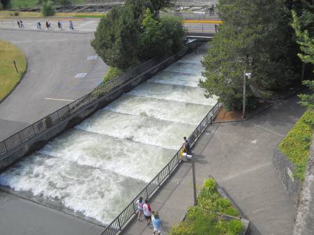 Bonneville Dam Fish Ladder