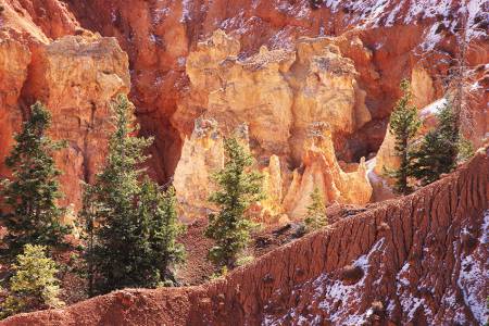 Jackson Hole Wyoming to Williams AZ