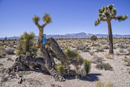 AREA_51_3052