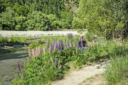 Arrowtown_9