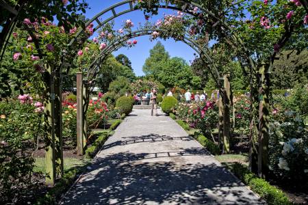 Christchurch_6