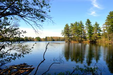 Tillinghast Pond