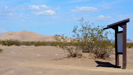 Big Dune