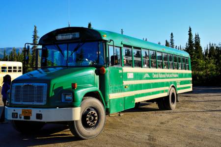 The Green Bus: Denali National Park