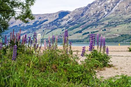 Glenorchy_8