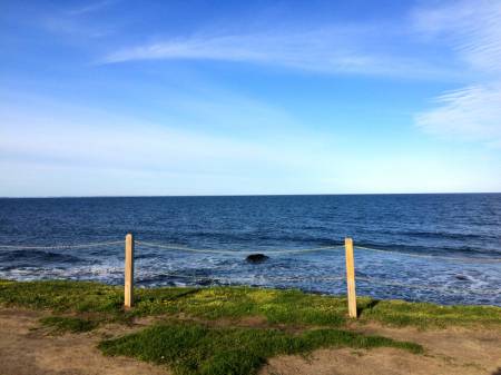 View From Rose Nulman Memorial Park