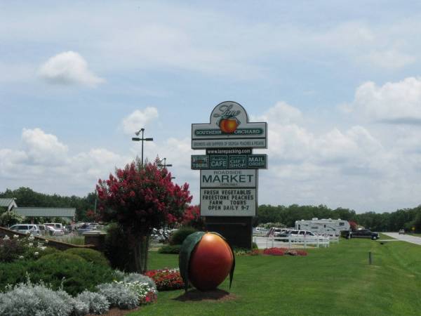 Enjoy some Georgia peaches and more at Lane Southern Orchards