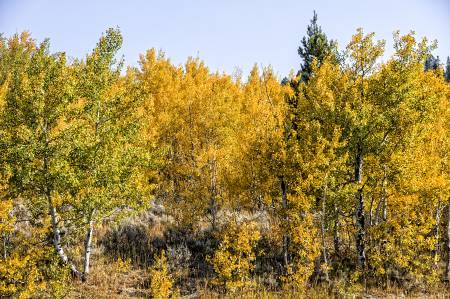 OXBOW_BEND_4022