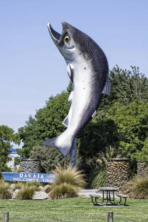 Rakaia_