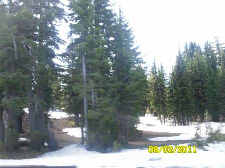 SAM_0080